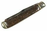 Pocket Knife With Fossil Dinosaur Bone Inlays & Base #327592-1